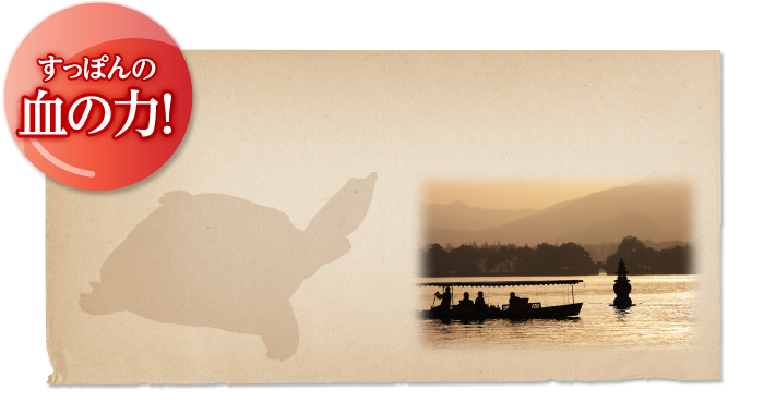 濃縮すっぽん生血カプセル すっぽん健康食品の健康一番 元気工房 濃縮すっぽん生血カプセル すっぽん健康食品の健康一番 元気工房