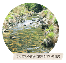 äݤΰ˻ѤƤή